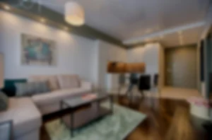The Birch – 680 Sq Ft ADU view